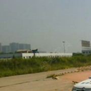 王教练