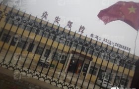 众安驾校