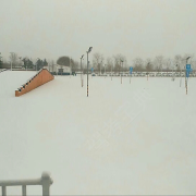 田园可