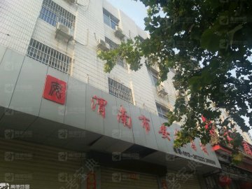 安成驾校