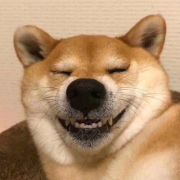 教练
