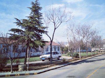 鲁航驾校