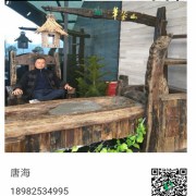 唐海