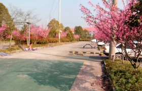 教学环境
