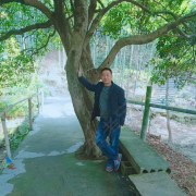 赵国荣