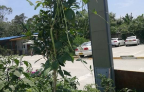 教学环境