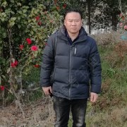 贺毅