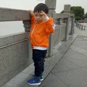 刘小红