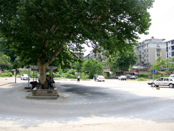 金山驾校
