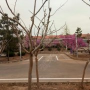 教學環(huán)境