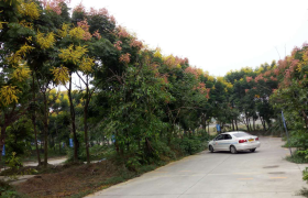 教学环境