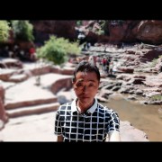 张云鹏