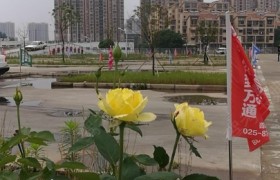 教学环境