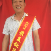 杨涛