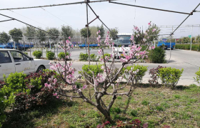 教学环境