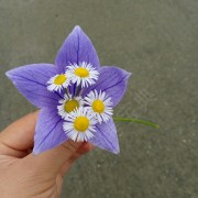 唐小玉