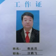 汶鹏飞