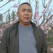 杨东民