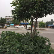 教學(xué)環(huán)境