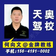 何向文