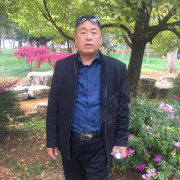 劉海平