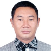 杨柳