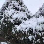 教學(xué)環(huán)境