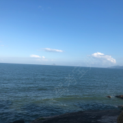 李教练