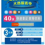 陈逵
