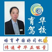段得丽