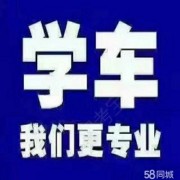 金志