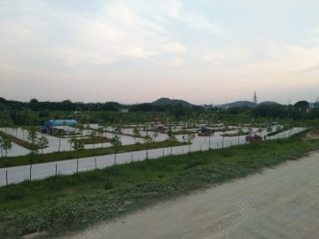 爱轮驾校