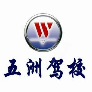 赵含冰
