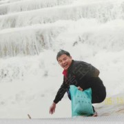 刘强