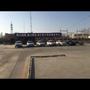李金双