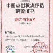 张飞龙