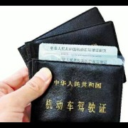 陈教练