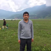 李彭江