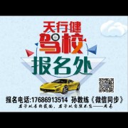 孙成殿