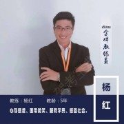 杨红