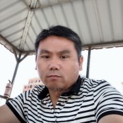 张金树