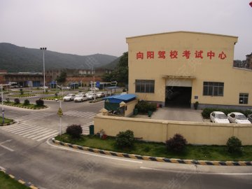 向阳驾校