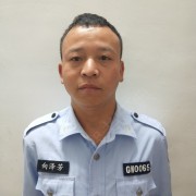 向泽芳