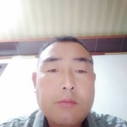 马保震