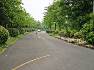 杭州公联驾校
