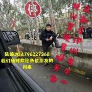 陈锦冰
