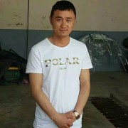 龙飞
