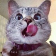 王坤