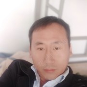 杨大卫