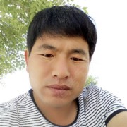 杨彪